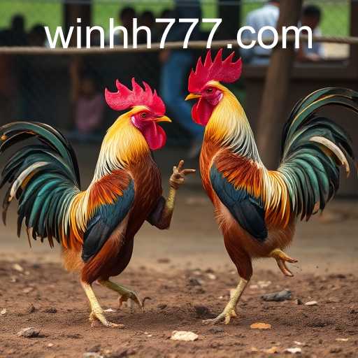 The World of Sabong Games: Tradition Meets Technology